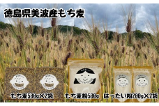 もち麦500g×2袋・もち麦粉500g・はったい粉200g×2袋