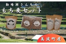 もち麦500g×2袋・もち麦粉500g・はったい粉200g×2袋