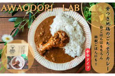 阿波尾鶏骨つき地鶏のごちそうカレー5食
