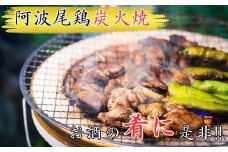 阿波尾鶏炭火焼（100ｇ×6袋）