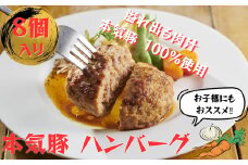 本気豚使用 ハンバーグ８個入