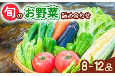 阿波の国海陽町 旬のお野菜詰め合わせセット 8～12品 野菜 徳島県 海陽町産 野菜セット 詰め合わせ 4-5名様以上 向け 季節の野菜 やさい 産地直送 新鮮 採れたて お試し 単品