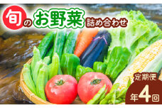 【定期便年4回】阿波の国海陽町 旬のお野菜詰め合わせセット 8～12品×4回 野菜 定期便 野菜定期便 年4回 徳島県 海陽町産 野菜セット 季節の野菜 詰め合わせ おまかせ