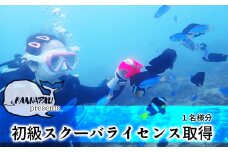 海陽町の海で初級スクーバダイビングライセンス取得！ ダイビング ライセンス 取得 チケット カアナパリ 国際ライセンス BSAC 体験 スクーバダイビング スキューバダイビング 四国 徳島 徳島県 海陽 海陽町