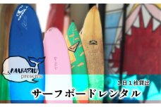 サーフボードレンタル（１枚１日貸出）  サーフボード レンタル (1枚1日貸出) カアナパリ サーフィン 体験 アクティビティ マリンアクティビティ 四国 徳島 徳島県 海陽 海陽町
