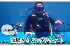 徳島最南端の海で体験ダイビング！（１ボート） ダイビング 体験 (1ボート) カアナパリ スクーバダイビング スキューバダイビング アクティビティ マリンアクティビティ 四国 徳島 徳島県 海陽 海陽町