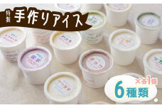 海陽町特製アイス ユニークな味６種類セット！  アイスクリーム 6種類 海陽町特製 自家製  詰め合わせ アイス バニラアイス 抹茶 セット 手作り 母の日 