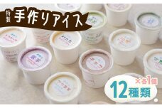 海陽町特製アイス ユニークな味１２種類セット！  アイスクリーム 12種類 海陽町特製 自家製  詰め合わせ アイス バニラアイス 抹茶 セット 手作り 母の日 