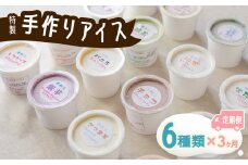 【定期便連続３か月】海陽町特製アイス ユニークな味６種類セット！  定期便 3か月 連続 アイスクリーム 6種類 海陽町特製 詰め合わせ アイス バニラアイス 抹茶 セット 手作り 母の日 
