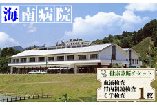 胃内視鏡・CT・血液検査チケット（１名様分） 海陽町立海南病院 胃内視鏡・CT・血液検査チケット（１名様分） 海陽町立海南病院