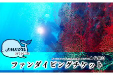徳島最南端の海でファンダイビング！（２ボート） ファンダイビング 体験 (2ボート) カアナパリ ダイビング アクティビティ マリンアクティビティ 四国 徳島 徳島県 海陽 海陽町