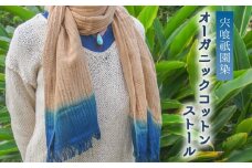  宍喰祇園染オーガニックコットンストール ストール オーガニックコットン 藍染め 泥染め 宍喰祇園染