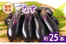 なす 約25本 茄子 ナス 産地直送 天敵栽培 【2025年7月以降順次発送】