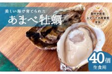 あまべ牡蠣 40個 牡蠣 シングルシード 生食用 殻付き かき カキ オイスター 生ガキ 生牡蠣 生がき 生かき ギフト 貝 旨味