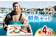 産地直送！ 海陽町より旬の魚をお届け！ 鮮魚セット 中セット 約４kg  詰め合わせ 