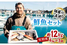 【定期便全３回】産地直送！ 海陽町より旬の魚をお届け！ 鮮魚セット 中セット 約４kg×３ヶ月連続  詰め合わせ 