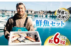 産地直送！ 海陽町より旬の魚をお届け！ 鮮魚セット 大セット 約６kg  詰め合わせ 