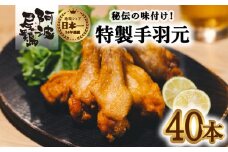  絶品・阿波尾鶏手羽元 40本入り  手羽元 阿波尾鶏 唐揚げ 40本 冷蔵 徳島 地鶏 あわおどり