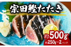 ヒラソウダ たたき 約500g 約250g×2パック 鰹 カツオ かつお 宗田鰹 宗太鰹 ソウダガツオ そうだがつお  冷凍