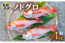 ノドグロ 約1kg 産地直送 冷凍 下処理済 アカムツ のどぐろ 高級魚 水揚げ時重量約1kg 下処理後約800g
