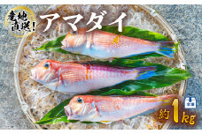 アマダイ 約1kg 冷凍 下処理済み 松笠揚げ 甘鯛 あまだい 水揚げ時重量約1kg 下処理後約900g エラ内臓除去 うろこ付き