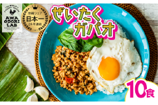 阿波尾鶏 ぜいたくガパオ 10食入 130g×10パック ガパオライス 国産 鶏肉 地鶏 エスニック タイ料理 常温 レトルト 