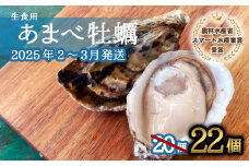 先行予約 あまべ牡蠣 22個 牡蠣 シングルシード 生食用 殻付き かき カキ オイスター 生ガキ 生牡蠣 生がき 生かき ギフト 貝 旨味  【2025年12月発送】