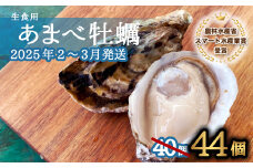 先行予約 あまべ牡蠣 44個 牡蠣 シングルシード 生食用 殻付き かき カキ オイスター 生ガキ 生牡蠣 生がき 生かき ギフト 貝 旨味  【2025年12月発送】