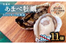 先行予約 あまべ牡蠣 11個 牡蠣 シングルシード 生食用 殻付き かき カキ オイスター 生ガキ 生牡蠣 生がき 生かき ギフト 貝 旨味 【2025年12月発送】