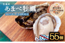 先行予約 あまべ牡蠣 55個 牡蠣 シングルシード 生食用 殻付き かき カキ オイスター 生ガキ 生牡蠣 生がき 生かき ギフト 貝 旨味  【2025年12月発送】