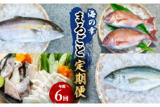【定期便全６回】海の幸まるごと定期便 クエ くえ クエ鍋 タイ たい 鯛 カンパチ かんぱち 勘八 シマアジ しまあじ 伊勢海老 いせえび イセエビ