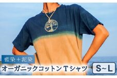 Tシャツ 藍染 泥染 S-Lサイズ オーガニックコットン  藍 藍染め 泥染め 宍喰祇園染 天然染料