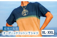 Tシャツ 藍染 泥染 XL/XXLサイズ オーガニックコットン 藍 藍染め 泥染め 宍喰祇園染 天然染料