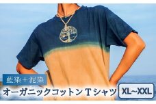 Tシャツ 藍染 泥染 XL/XXLサイズ オーガニックコットン 藍 藍染め 泥染め 宍喰祇園染 天然染料