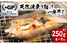 天然波乗り鮎の一夜干し 約250g 4～9尾 干物 一夜干し 鮎 天然 熟成 あゆ アユ 天然鮎 清流 海部川 川魚 簡単調理 冷凍