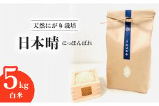 【先行予約】日本晴 白米 5kg 天然にがり栽培 にっぽんばれ 希少 品種 お寿司 ピラフ チャーハン【2025年9月以降発送】