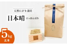 【先行予約】日本晴 玄米 5kg 天然にがり栽培 にっぽんばれ 希少 品種 お寿司 ピラフ チャーハン【2025年9月以降発送】