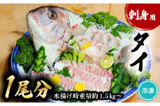 タイ 刺身用 1尾分 水揚げ時重量1.5kg以上 たい 鯛 小分け 養殖 冷凍