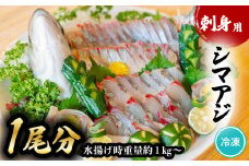 シマアジ 刺身用 1尾分 水揚げ時重量1kg以上 しまあじ 縞鯵 小分け 養殖 冷凍