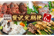 【定期便全６回】海陽町の『贅沢』定期便  クエ クエ鍋 牡蠣 阿波尾鶏 焼鳥 水炊き シマアジ 伊勢海老 イセエビ いせえび