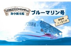 海中観光船 ブルーマリン号 乗船券 大人 1名様 グラスボート レジャー マリンジャム 竹ヶ島 竹ケ島 四国 徳島 徳島県 海陽 海陽町