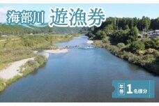 海部川漁協遊漁券  年券 １名分 アユ アマゴ 釣り 