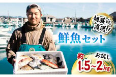 産地直送！ 海陽町より旬の魚をお届け！ 鮮魚セット お試し 約1.5～2kg  詰め合わせ 