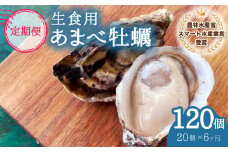【あまべ牡蠣 20個 6ヶ月連続定期便】あまべ牡蠣 20個 6ヶ月定期便 120個 牡蠣 シングルシード 生食用 殻付き かき カキ オイスター 生ガキ 生牡蠣 生がき 生かき ギフト 貝 旨味 
