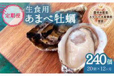 【あまべ牡蠣 20個 12ヶ月連続定期便】あまべ牡蠣 20個 12ヶ月定期便 240個 牡蠣 シングルシード 生食用 殻付き かき カキ オイスター 生ガキ 生牡蠣 生がき 生かき ギフト 貝 旨味 