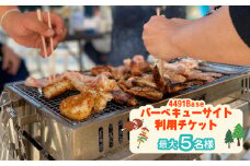 バーベキューサイト利用チケット（10時～20時までのうち3時間） 定員5名様 水床湾 BBQ 海 山 アウトドア 四国 徳島 徳島県 海陽 海陽町 宍喰 観光 水床湾 4491Base