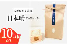 日本晴 白米 10kg 天然にがり栽培 にっぽんばれ 希少 品種 お寿司 ピラフ チャーハン