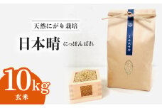 【先行予約】日本晴 玄米 10kg 天然にがり栽培 にっぽんばれ 希少 品種 お寿司 ピラフ チャーハン【2025年9月以降発送】