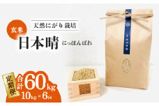 【定期便】 日本晴 玄米 10kg×6回 6ヶ月連続 【先行予約】天然にがり栽培 にっぽんばれ 希少 品種 お寿司 ピラフ チャーハン【2025年9月以降発送】