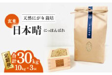 【定期便】 日本晴 玄米 10kg×3回 3ヶ月連続 【先行予約】  天然にがり栽培 にっぽんばれ 希少 品種 お寿司 ピラフ チャーハン【2025年9月以降発送】